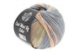 Cool Wool Big Color 4010